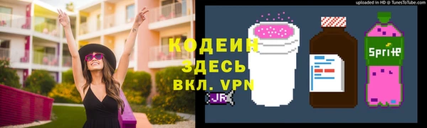 дмт Алексин